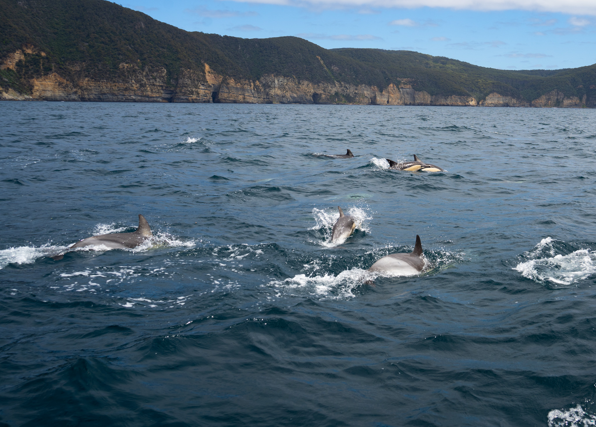Australia travel photo 4